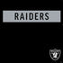 NFL Las Vegas Raiders Black Performance Series PS4 Pro/Slim Controller Skin