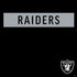 NFL Las Vegas Raiders Black Performance Series PS4 Slim Bundle Skin