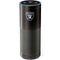 NFL Las Vegas Raiders Breakaway Amazon Echo Skin