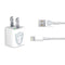 NFL Las Vegas Raiders Double Vision iPhone Charger (5W USB) Skin