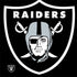 NFL Las Vegas Raiders Large Logo Nintendo 2DS XL (2017) Skin