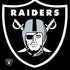 NFL Las Vegas Raiders Large Logo Moto E5 Play Skin