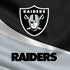NFL Las Vegas Raiders Moto E5 Play Skin