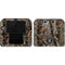 NFL Las Vegas Raiders Realtree AP Camo Nintendo 2DS Skin