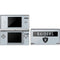 NFL Las Vegas Raiders Silver Performance Series DS Lite Skin
