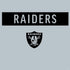 NFL Las Vegas Raiders Silver Performance Series PS4 Pro/Slim Controller Skin