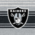 NFL Las Vegas Raiders Trailblazer Nintendo 2DS XL (2017) Skin