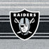 NFL Las Vegas Raiders Trailblazer Moto E5 Play Skin