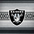 NFL Las Vegas Raiders Trailblazer Notebook 9 Pro 13in (2017) Skin