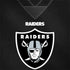NFL Las Vegas Raiders Team Jersey HP Spectre Skin