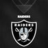 NFL Las Vegas Raiders Team Jersey Surface Book 2 13.5in Skin