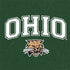 Ohio University Ohio Bobcats Nintendo 2DS XL (2017) Skin
