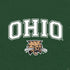 Ohio University Ohio Bobcats PS4 Pro Bundle Skin