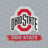 Ohio State University Distressed Logo Moto E5 Play Skin