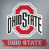 Ohio State University Distressed Logo Notebook 9 Pro 13in (2017) Skin
