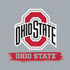 Ohio State University Distressed Logo PS4 Slim Skin