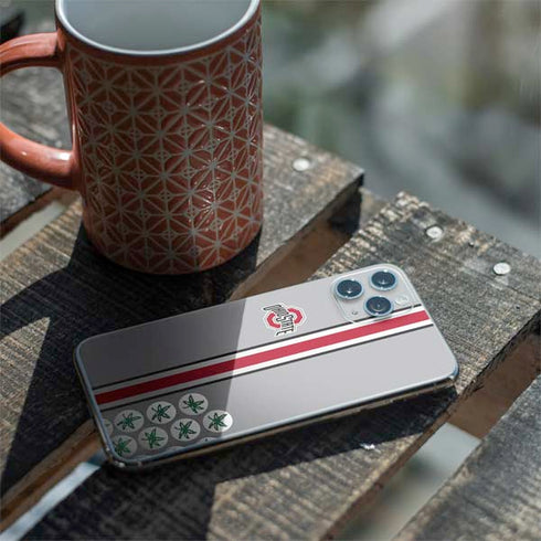 Ohio State University Buckeyes iPhone 11 Pro Skin