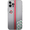 Ohio State University Buckeyes iPhone 12 Pro Max Skin