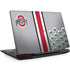 Ohio State University Buckeyes Legion Y720 Skin