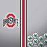 Ohio State University Buckeyes PS4 Console and Controller Bundle Skin
