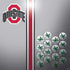 Ohio State University Buckeyes PS4 Pro Bundle Skin