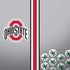 Ohio State University Buckeyes PS4 Slim Skin