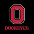 Ohio State University OSU Moto E5 Play Skin