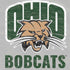 Ohio University Ohio University Bobcats Nintendo 2DS XL (2017) Skin