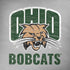 Ohio University Ohio University Bobcats iPhone X Pro Case