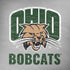 Ohio University Ohio University Bobcats iPhone X Skin