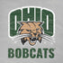 Ohio University Ohio University Bobcats iPhone XR Pro Case
