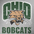 Ohio University Ohio University Bobcats Notebook 9 Pro 13in (2017) Skin