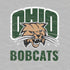 Ohio University Ohio University Bobcats PS4 Console Skin