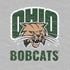Ohio University Ohio University Bobcats PS4 Slim Skin