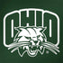 Ohio University Ohio University Outline Galaxy Note 8 Skin
