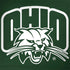 Ohio University Ohio University Outline Surface Book 2 15in Skin