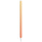 Orange Ombre Apple Pencil (2nd Gen 2019) Skin