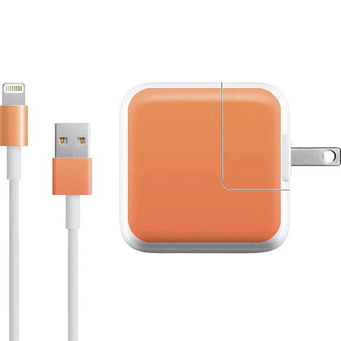 Orange Ombre iPad Charger (10W USB) Skin