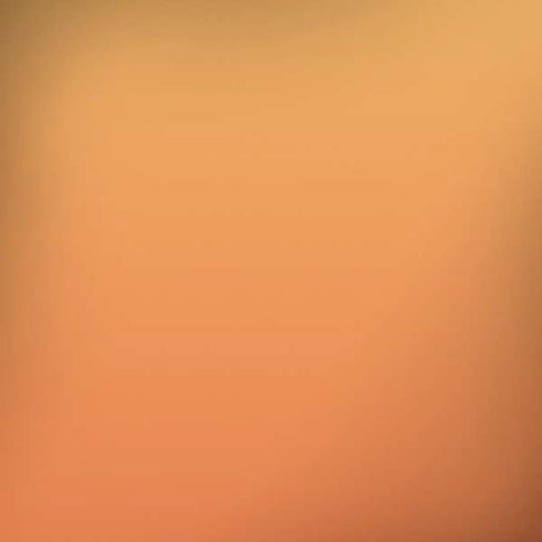 Orange Ombre iPhone X Pro Case