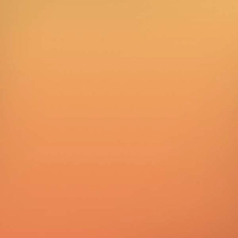 Orange Ombre iPhone XR Pro Case