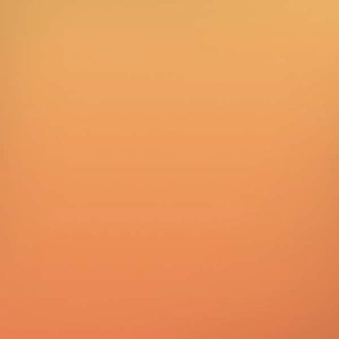 Orange Ombre iPhone XS Pro Case