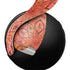 Orange Zen PULSE 3D Wireless Headset for PS5 Skin