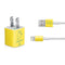 University of Oregon Ducks Logo iPhone Charger (5W USB) Skin