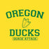 University of Oregon Ducks Quack Attack Nintendo 2DS XL (2017) Skin