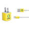 University of Oregon Football iPhone Charger (5W USB) Skin