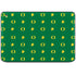 University of Oregon Pattern HP Chromebook Skin