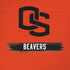 Oregon State University Texture iPhone XR Skin