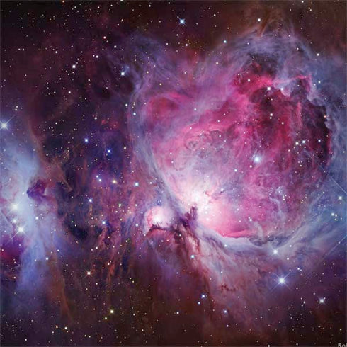 Orion Nebula and a Reflection Nebula HP Spectre Skin