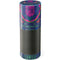 Ornate Swirls Amazon Echo Skin