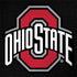 Ohio State University OSU Buckeyes Black Notebook 9 Pro 13in (2017) Skin